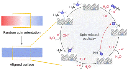 圖示 AI 生成的內容可能不正確。
